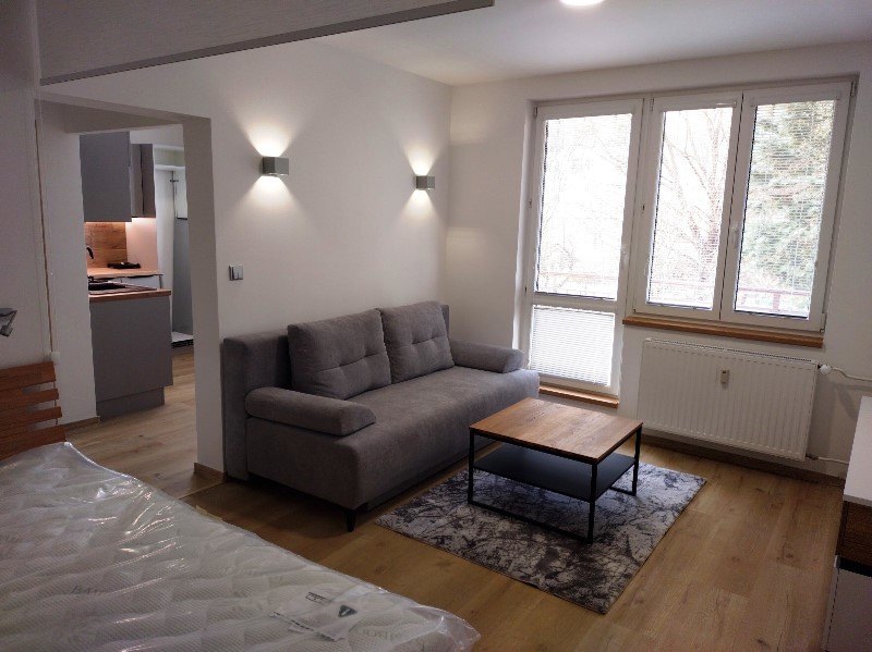 Exkluzivní nabídka pronájmu nově zrekonstruovaného bytu 1+1 v Luhačovicích